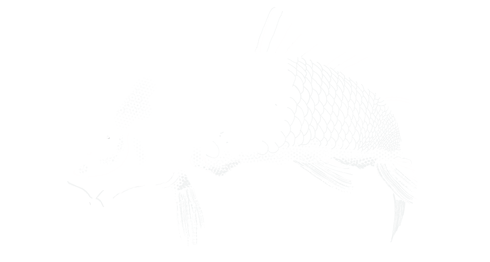 Carp.png