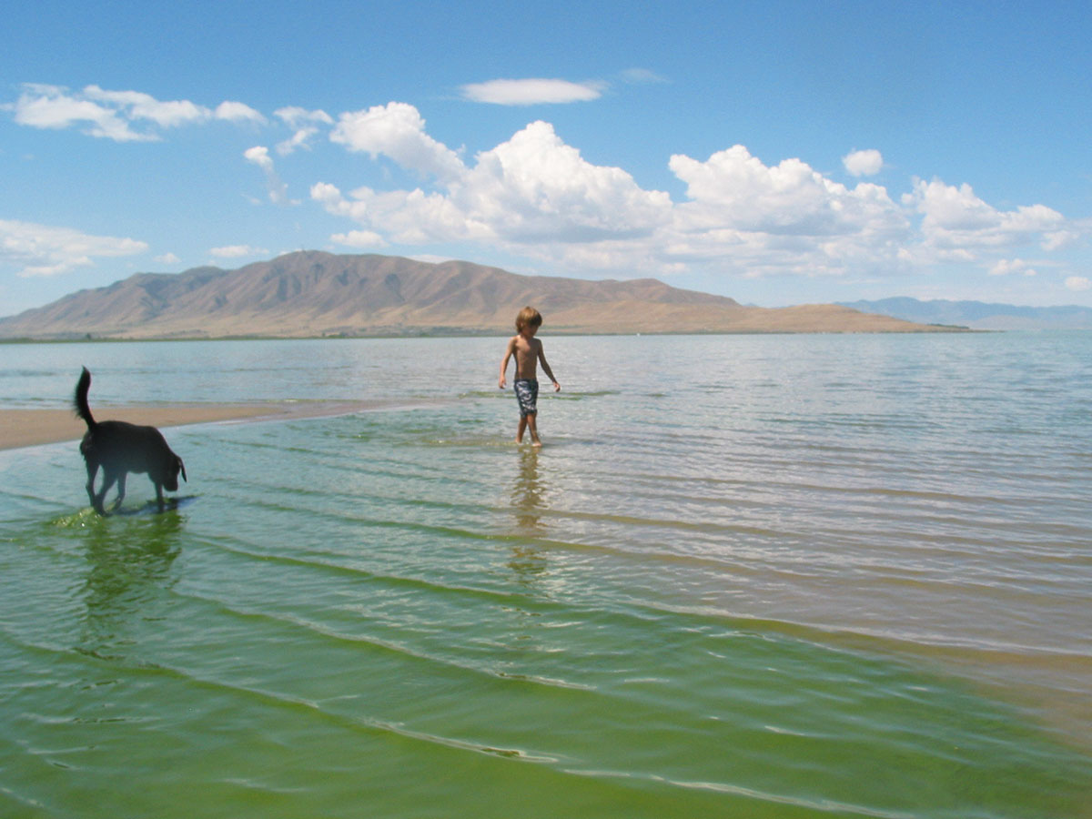 Utah Lake algae bloom