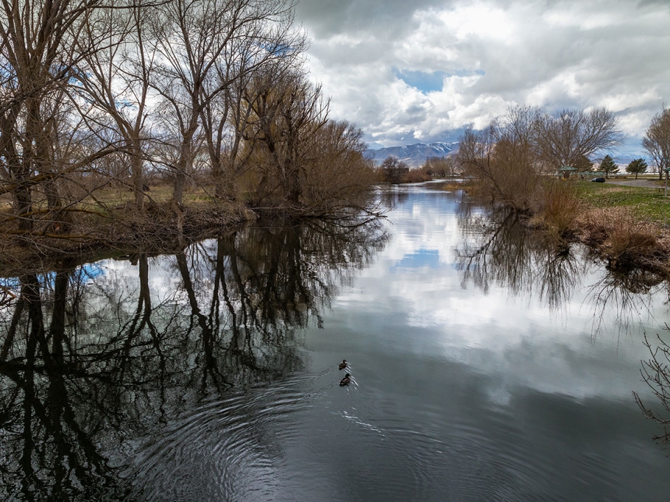 Key Fact: Provo River managers become accountable for June sucker